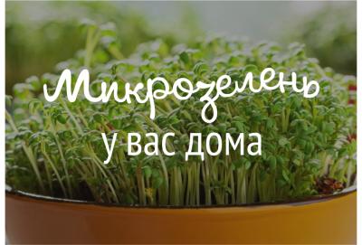 Обучение по программе "Микрозелень у вас дома: зеленые проростки для жизни и хорошего иммунитета"