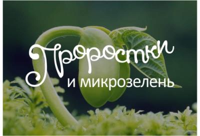 Обучение по программе "Проростки и микрозелень: живые витамины, энергия роста и крепкий иммунитет"